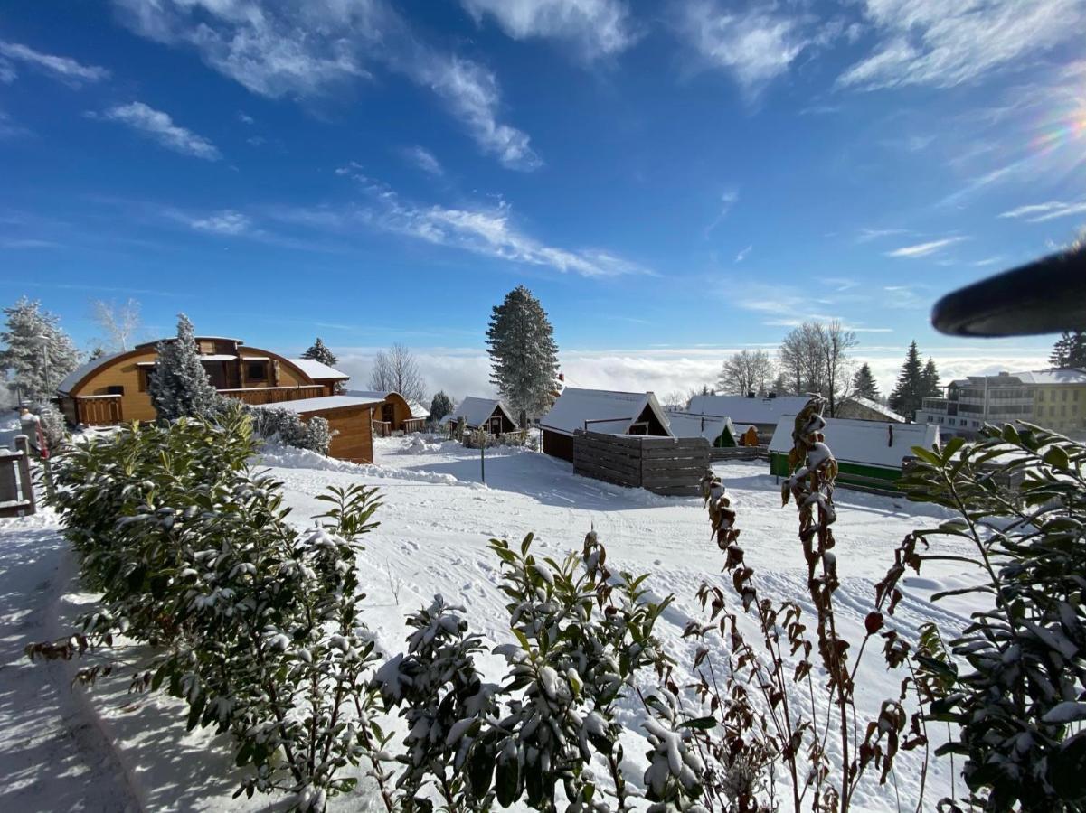 Glamping Park Hotell Mönichkirchen Exteriör bild